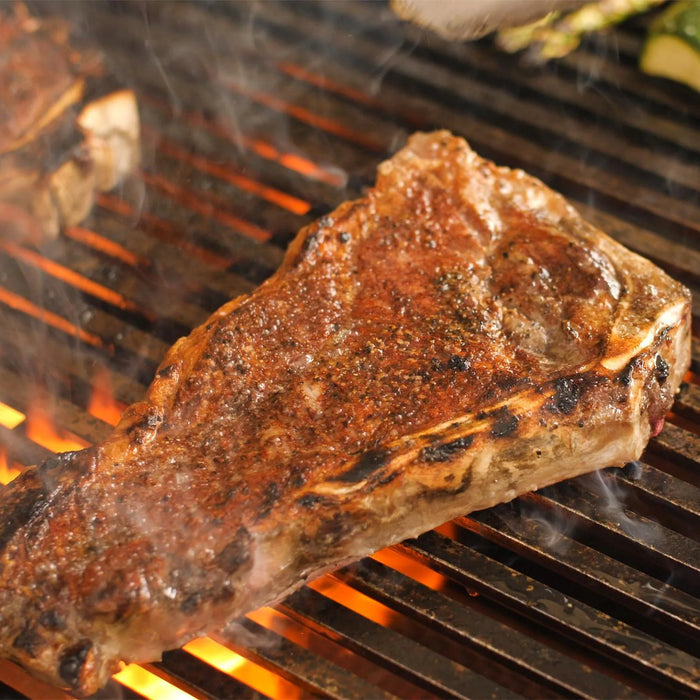 Fire Magic - Echelon E1060s Portable Grill Analog Thermometer and Power Burner - - CozeeFlames.com