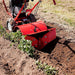 Earthquake 33970 Victor Rear Tine Tiller, Powerful 212cc 4-Cycle Vipe Engine