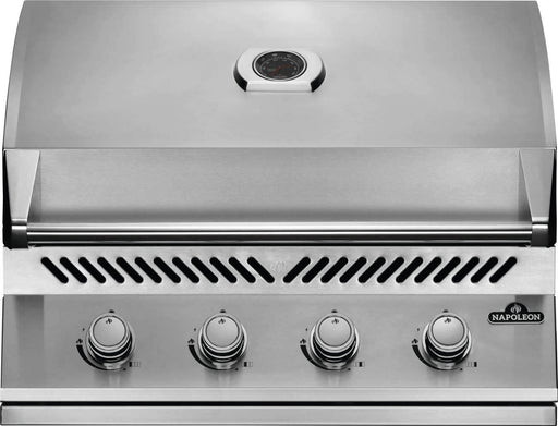 Napoleon Built-In 500 Series 32 - CozeeFlames.com