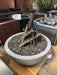 27" Sedona GFRC Fire Bowl- OPT-27RFO - CozeeFlames.com