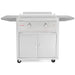 Blaze- 30-Inch LTE Griddle - BLZ‐GRIDDLE‐LTE‐LP/NG - CozeeFlames.com